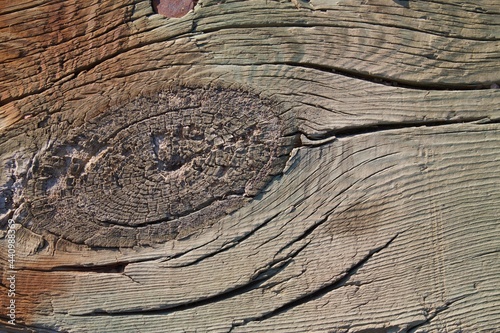 natural wood and texture