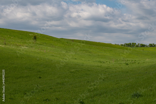 grass and blue sky