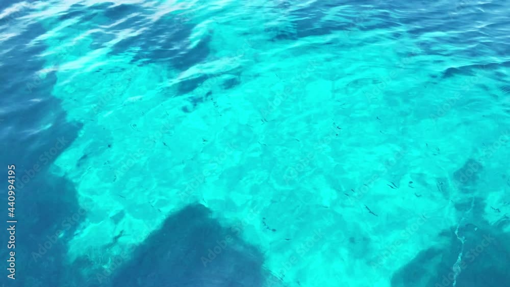 Seabed with algae, fishes and corals. Clean water with light reflections. Under water surface and sandy seabed Seabed with algae, fishes and corals. Clean water with light reflections. Under water surface and sandy seabed