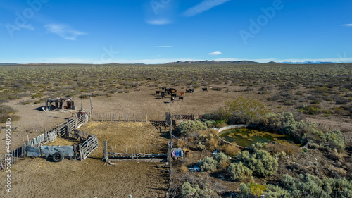 Aerial view of cow ranch in patagonia