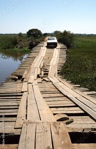 Pantanal, Brazilie photo
