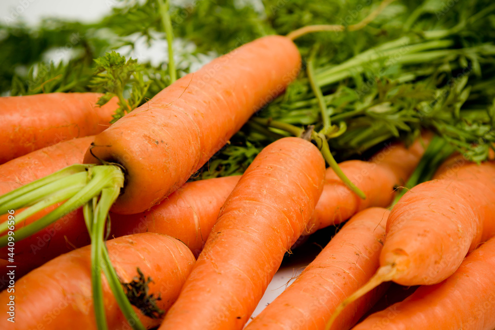 A bunch of carrots with tops, isolated on a white background A bunch of carrots with tops, isolated on a white background