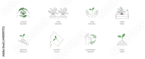 icon of locally grown food, farmers market organic product, fresh natural organic sustainable label. concept of support local small business. simple vector line illustration. 