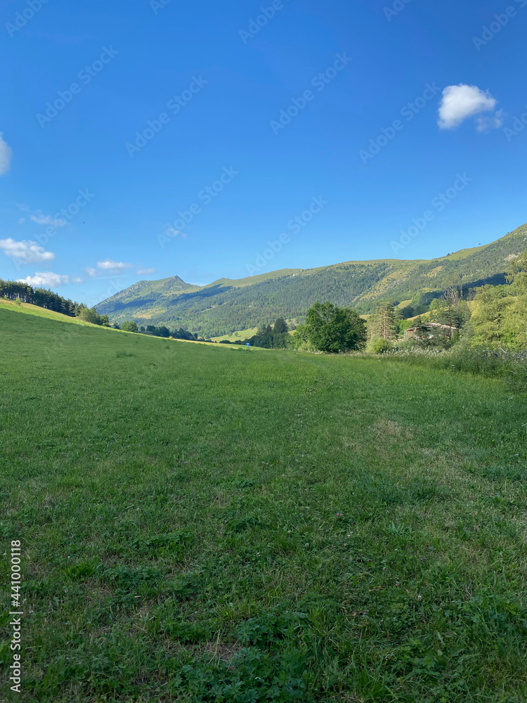 Fototapeta premium Balade en montagne l'été