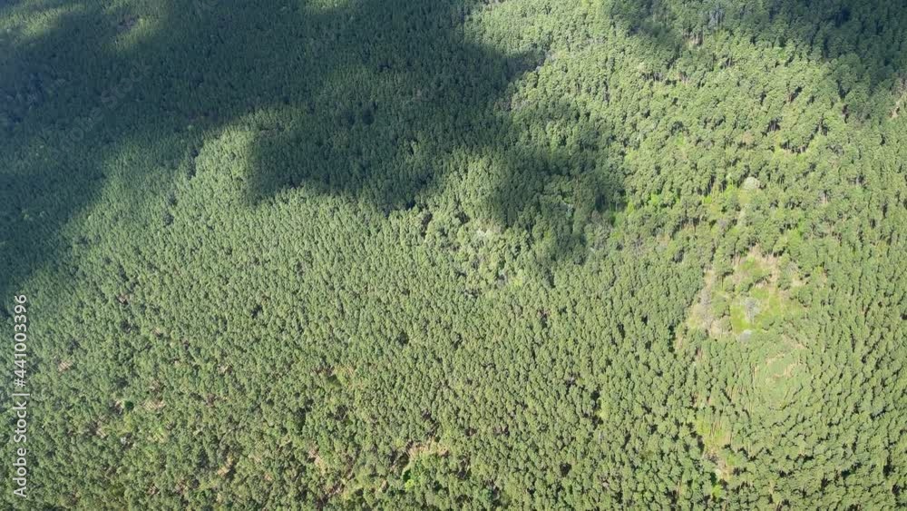 4k Flying over the green landscape and forest. 4k Flying over the green landscape and forest.