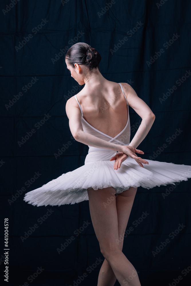 Fototapeta premium Young beautiful ballerina is posing in studio