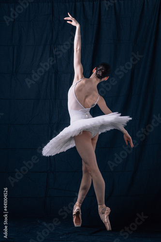 Young beautiful ballerina is posing in studio