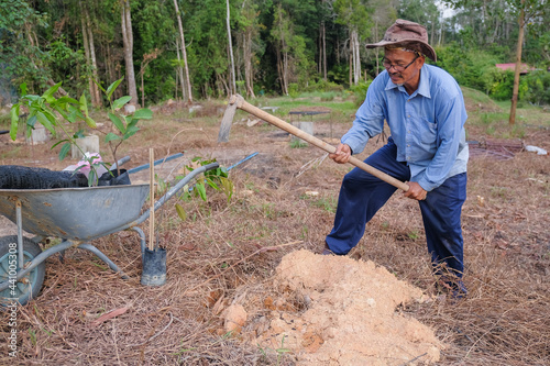 Senior man planting durian tree in the new orchard as save world concept, nature, environment and ecology.