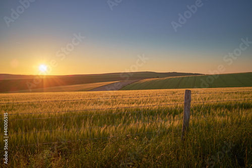 Farmland on South Downs National Park with the sun setting over the Sussex Weald. The low sun is casting highlights and shadows onto the hills.