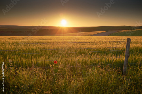 Farmland on South Downs National Park with the sun setting over the Sussex Weald. The low sun is casting highlights and shadows onto the hills.