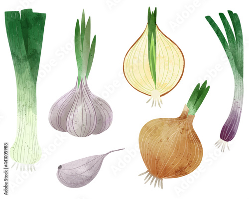 Veggies. Hand drawn vector illustration.