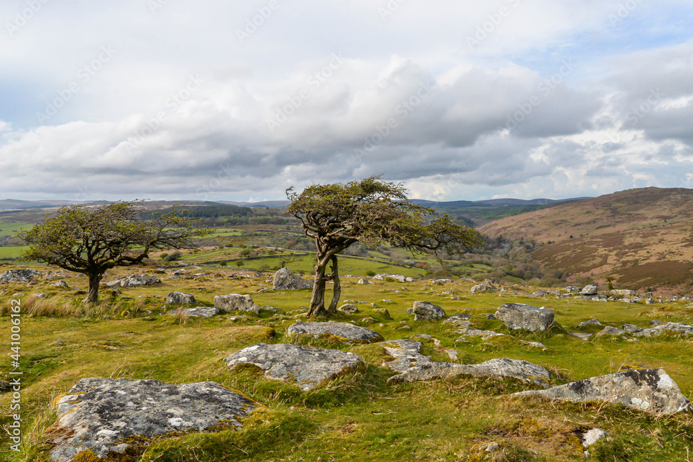 Dartmoor National Park in England