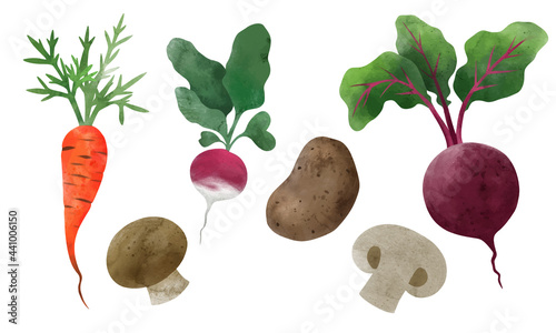 Veggies. Hand drawn vector illustration.
