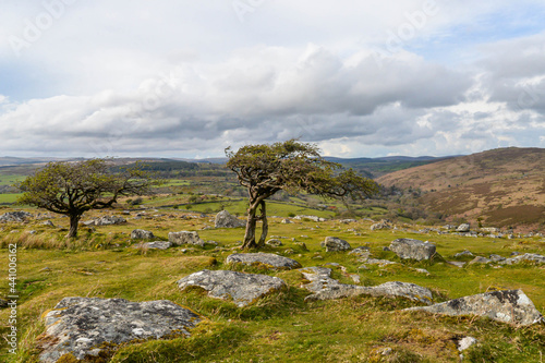 Obraz na płótnie Dartmoor National Park in England w salonie