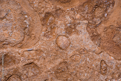 Bild auf Leinwand texture of  Cliffs at Hive Beach, Burton Bradstock, Bridport, Dorset, England, United Kingdom