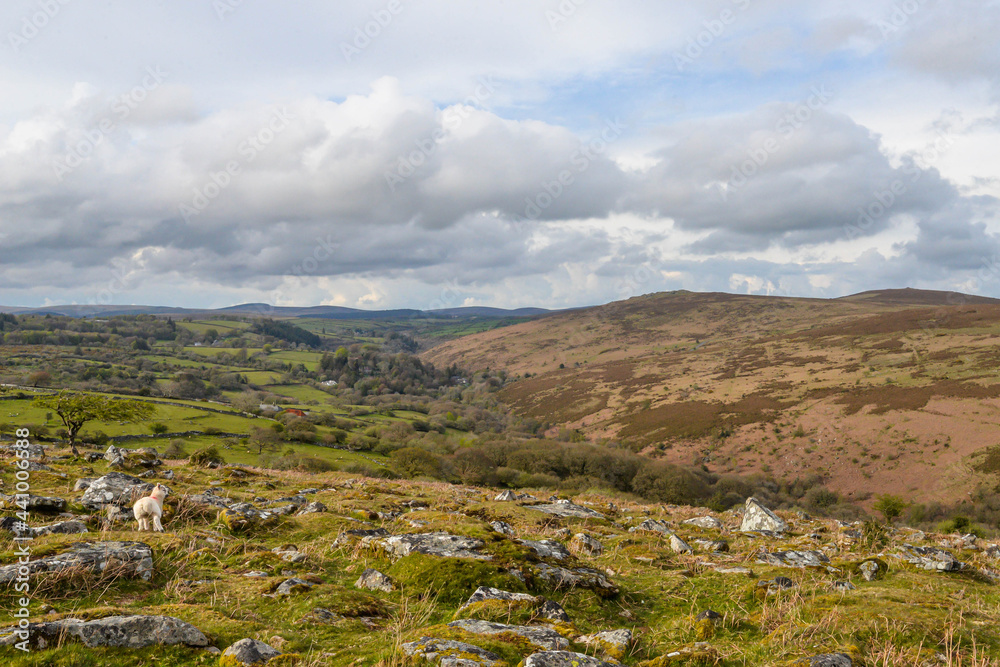 Naklejka premium Dartmoor National Park in England