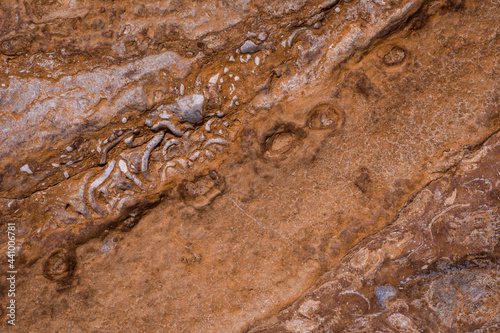 Obraz na plátně texture of  Cliffs at Hive Beach, Burton Bradstock, Bridport, Dorset, England, United Kingdom