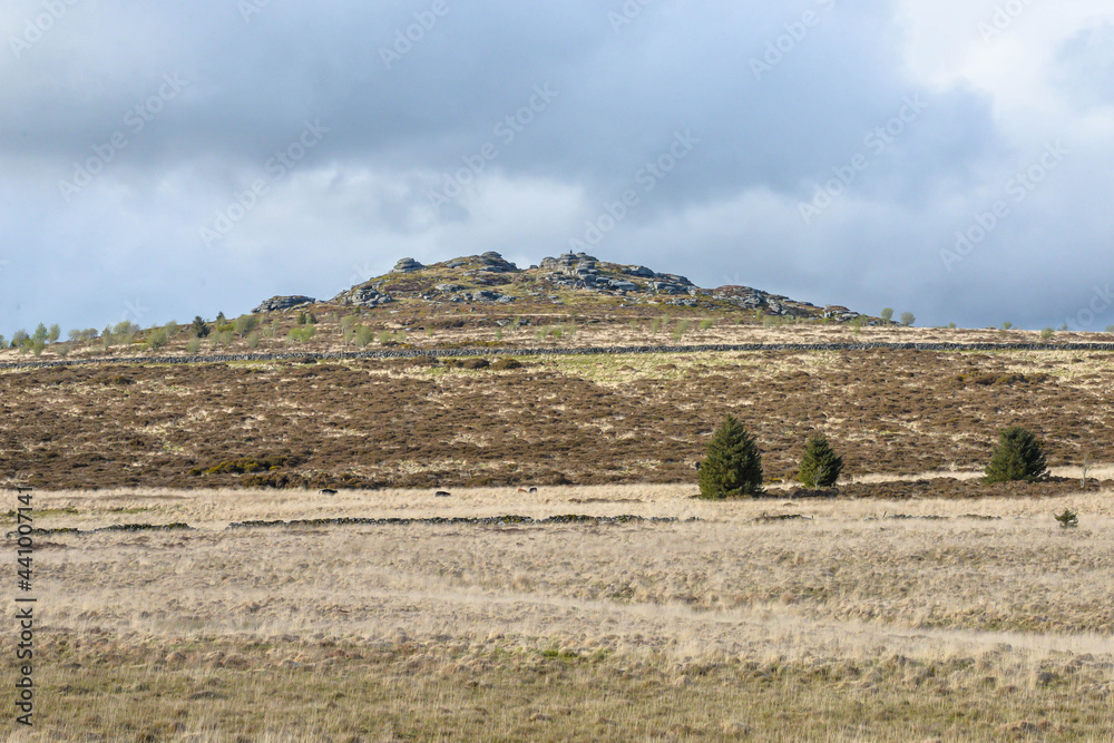 Dartmoor National Park in England