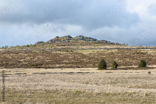 Obraz na płótnie Dartmoor National Park in England w salonie