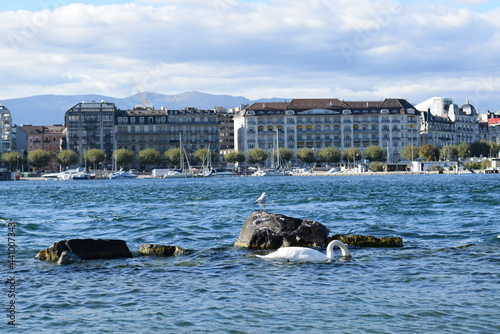 view of the lake and the city
