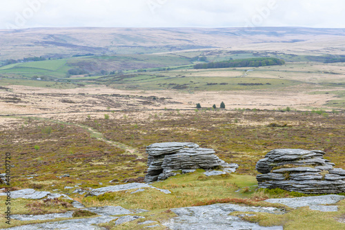 Obraz na płótnie Dartmoor National Park in England w salonie