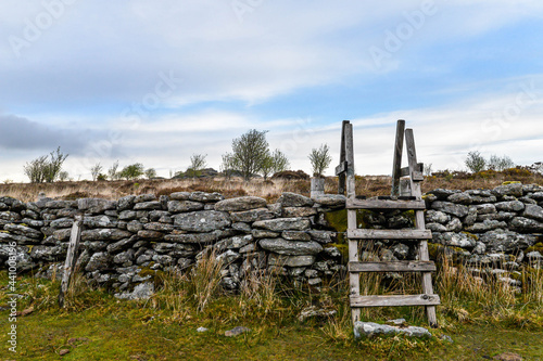 Obraz na płótnie Dartmoor National Park in England w salonie