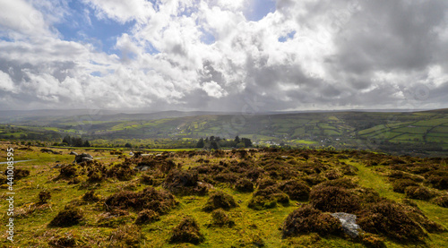 Obraz na płótnie Dartmoor National Park in England w salonie