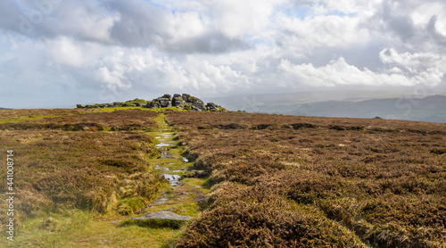 Obraz na płótnie Dartmoor National Park in England w salonie
