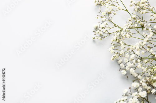Fényképezés Beautiful gypsophila flowers on white background