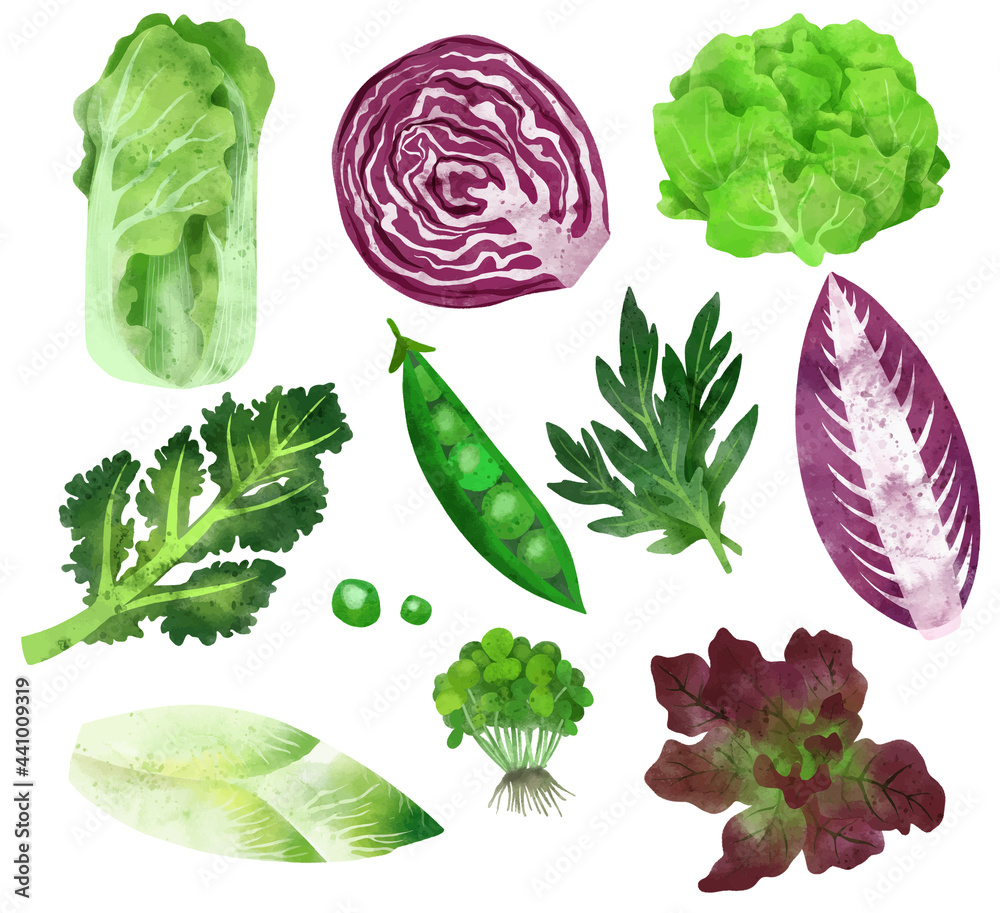 Veggies. Hand drawn vector illustration.