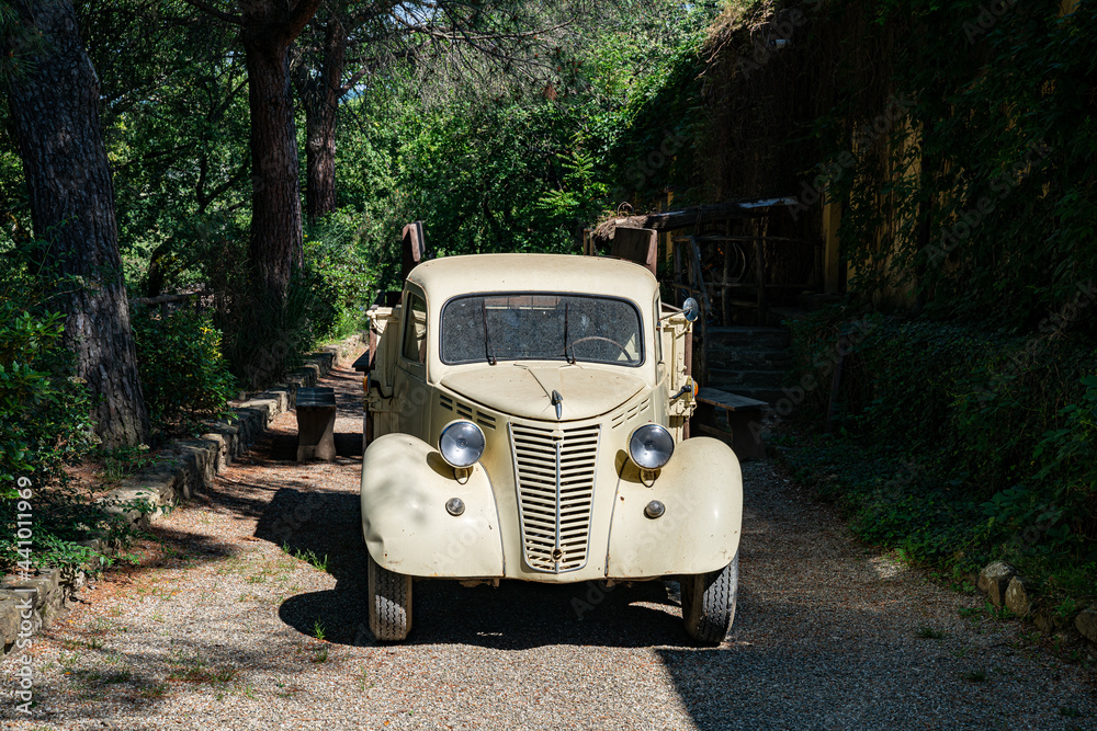 altes Auto stehend im Wald front Ansicht