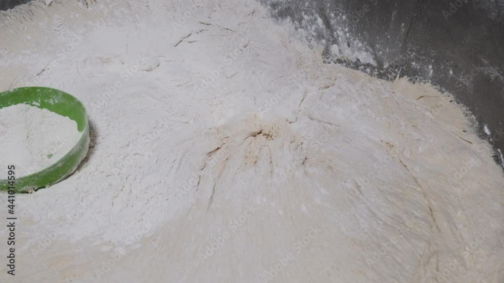 Female baker working in bakery making fresh dough for sourdough bread. Worker pick up lumps of