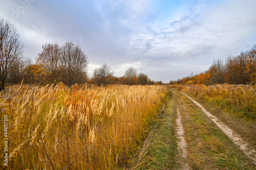 Rural landscape with road in field in autumn day.