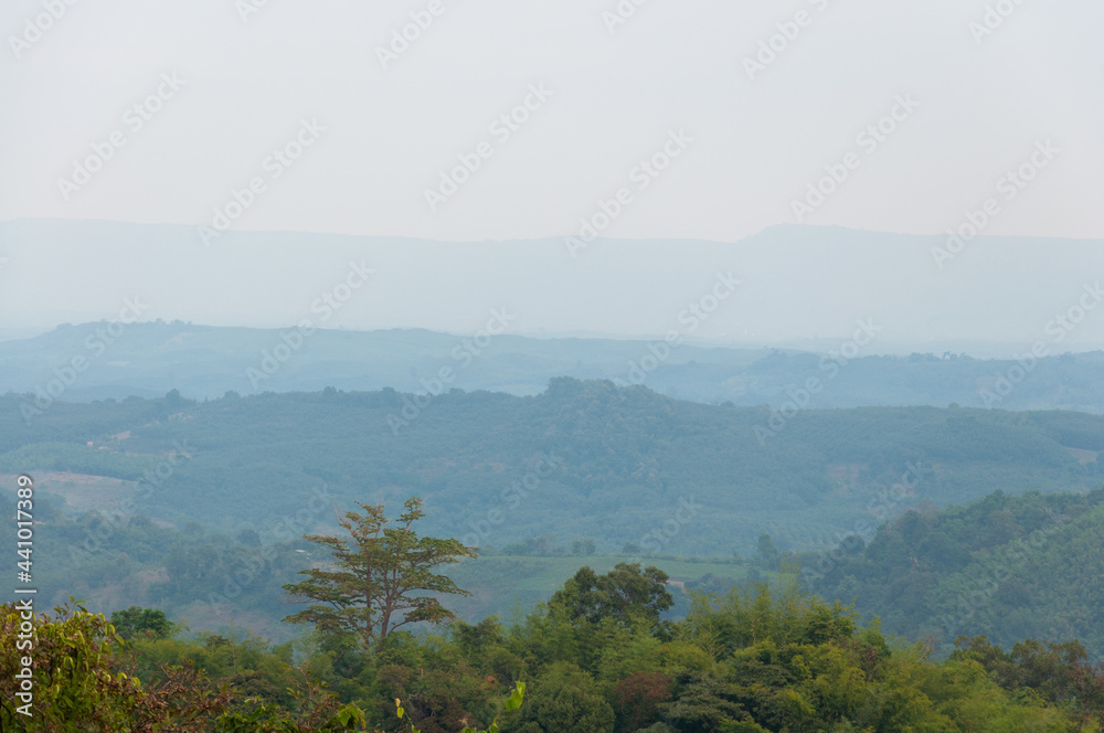 Obraz premium fog in the mountains