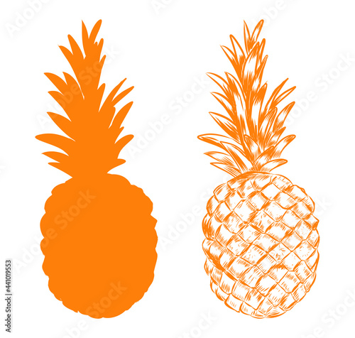 Pineapple artwork. Hand drawn sketchy and silhouette ananas. Picture of vitamin summer dessert. Vector illustration.