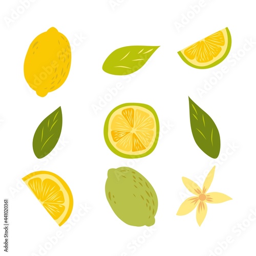 Lemon fruits set isolated on white. Whole and Halved Lemon Citrus Fruit with Juicy Flesh and Green Leaves Vector Set. Organic vegetarian fresh food. Vitamin tropical juicy citrus.