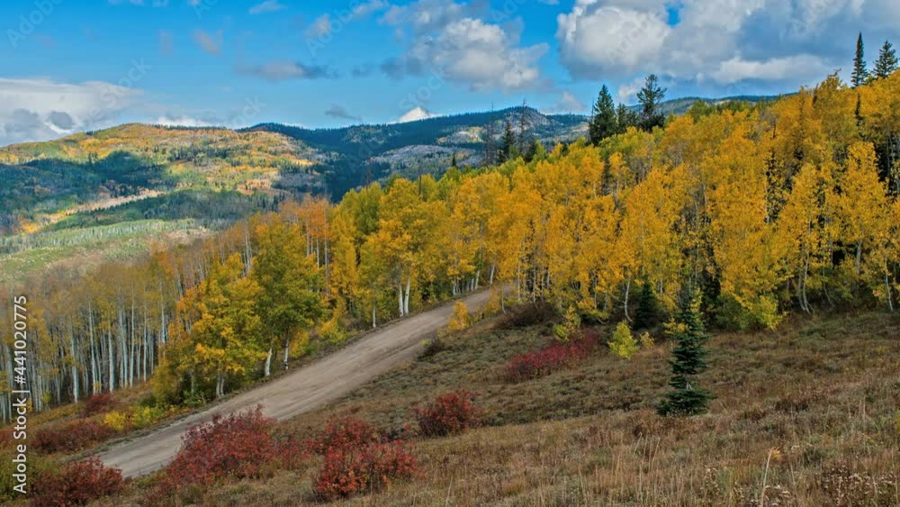 Autumn Golden Valley - Time-lapse video of Autumn clouds rolling over a golden aspen grove in a mountain valley, Routt National Forest, Steamboat Springs, Colorado, USA. Autumn Golden Valley - Time-lapse video of Autumn clouds rolling over a golden aspen grove in a mountain valley, Routt National Forest, Steamboat Springs, Colorado, USA.