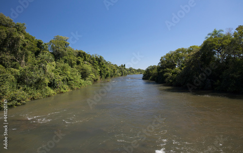 Tropical rainforest landscape. View of the Iguazu river flowing across the jungle. Beautiful green and lush vegetation.