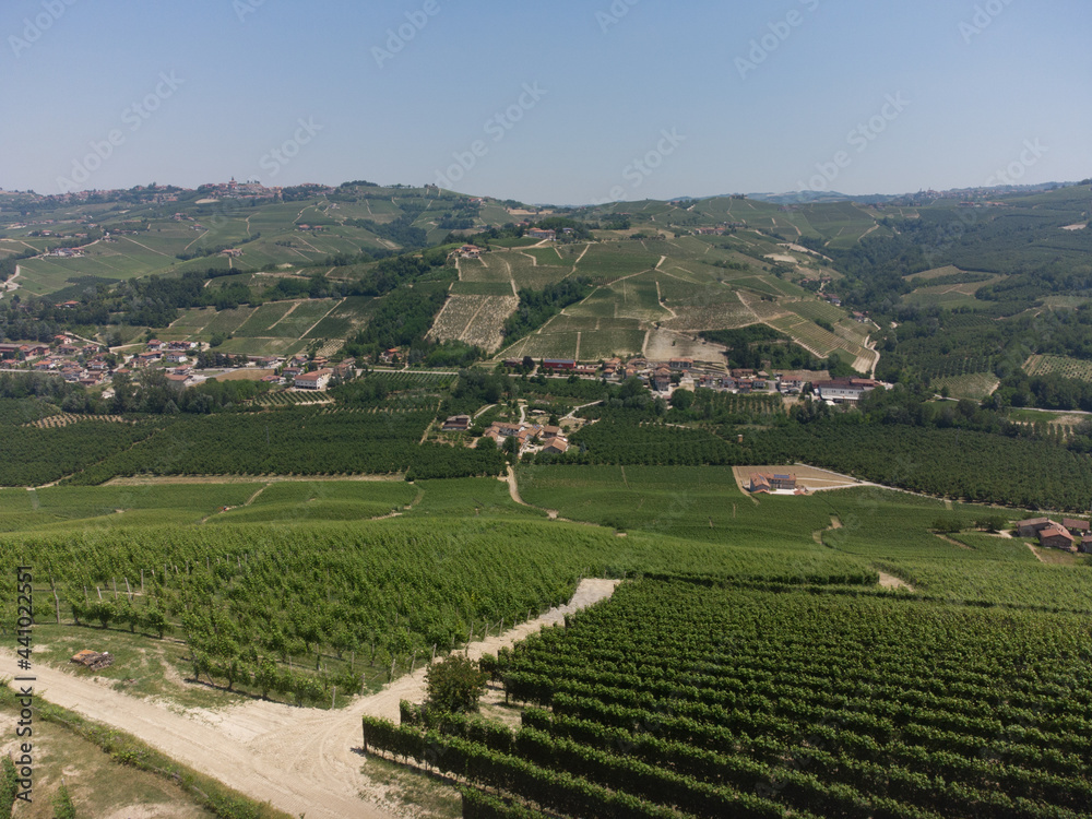 Hills between Serralunga and Castiglion Falletto, Piedmont - Italy