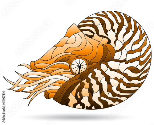 A stained glass-style illustration with a brown nautilus clam, an animal, isolated on a white background