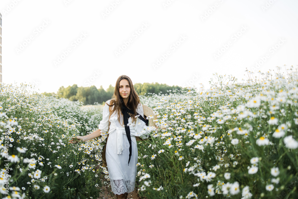 portrait of a beautiful young Caucasian woman on a chamomile field in a picturesque valley. a young lady in a white cotton dress and a straw hat. holds a bouquet of daisies. portrait of a beautiful young Caucasian woman on a chamomile field in a picturesque valley. a young lady in a white cotton dress and a straw hat. holds a bouquet of daisies.