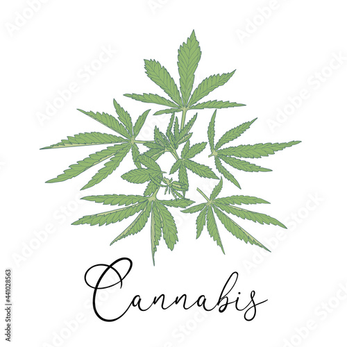 Cannabis Label Template