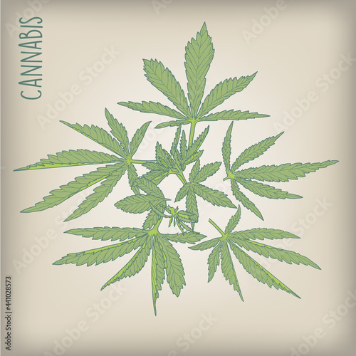 Vintage Style Hemp Leaves