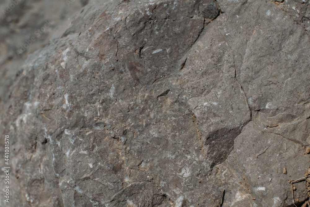 The texture of a large stone, part of a rock on a sunny day. Close-up. Macro The texture of a large stone, part of a rock on a sunny day. Close-up. Macro