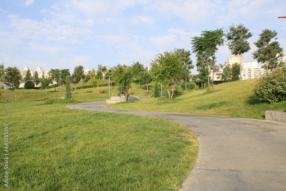 Naklejka premium path in the park