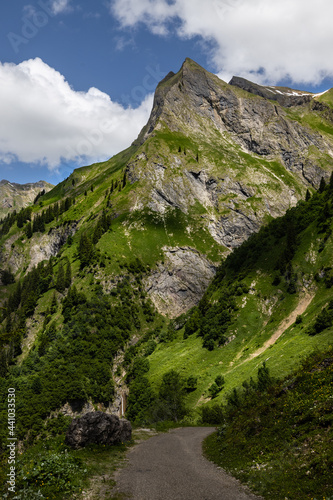 Allgäuer Alpen im Oytal bei Oberstdorf