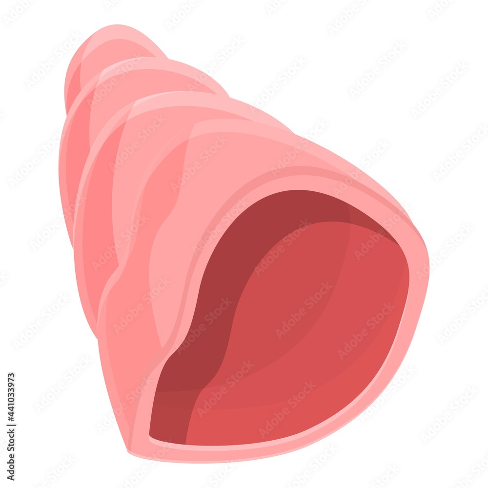 Pink shell icon. Cartoon of Pink shell vector icon for web design isolated on white background Pink shell icon. Cartoon of Pink shell vector icon for web design isolated on white background