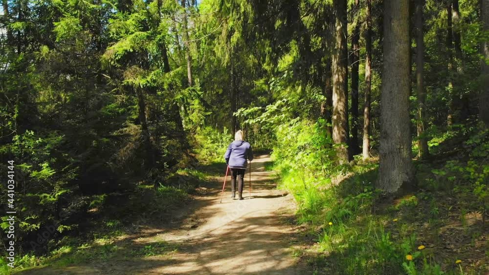 Slow motion back view caucasian elderly blond woman exercise walking with nordic sticks on forest trail road surrounded by summer greenery in sunny refreshing morning.
Slow motion back view caucasian elderly blond woman exercise walking with nordic sticks on forest trail road surrounded by summer greenery in sunny refreshing morning.