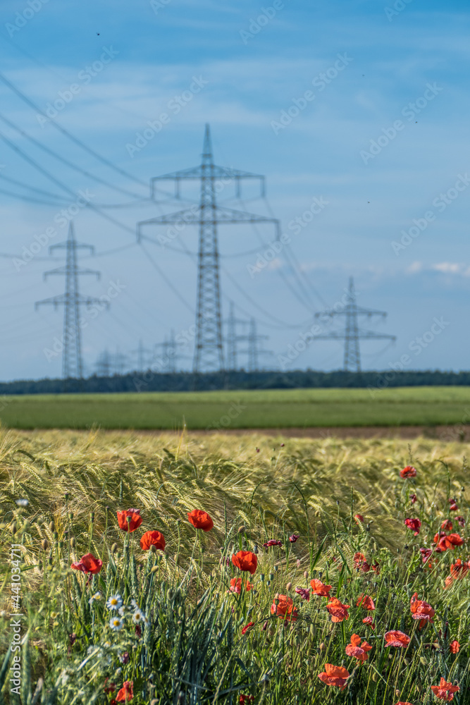 Strommasten einer Überlandleitung im Feld