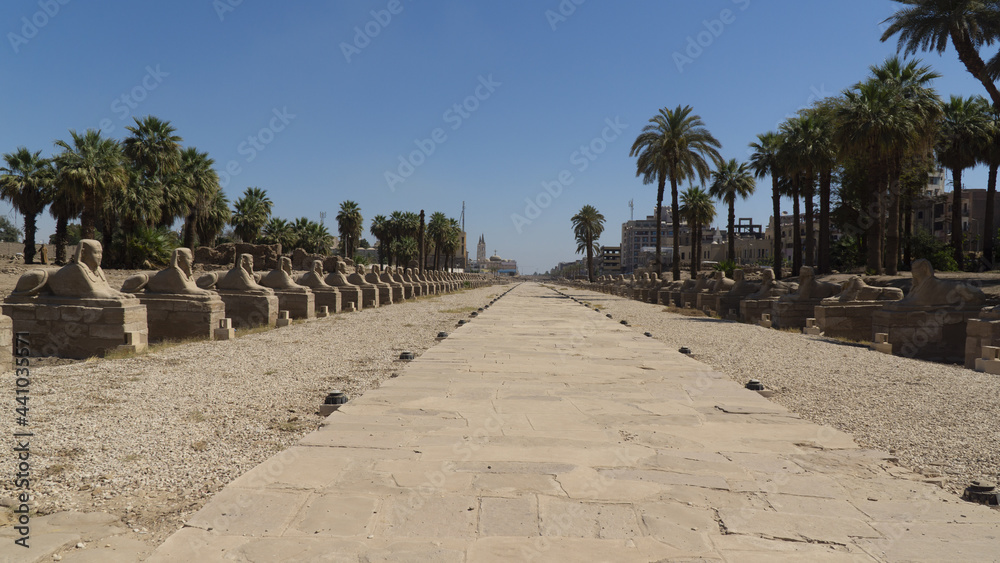 Sphinx Avenue of Nectanebo I. Luxor Temple, Egypt